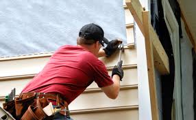 Best Custom Siding Design  in Winnebago, IL